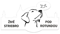 logo new mobile
